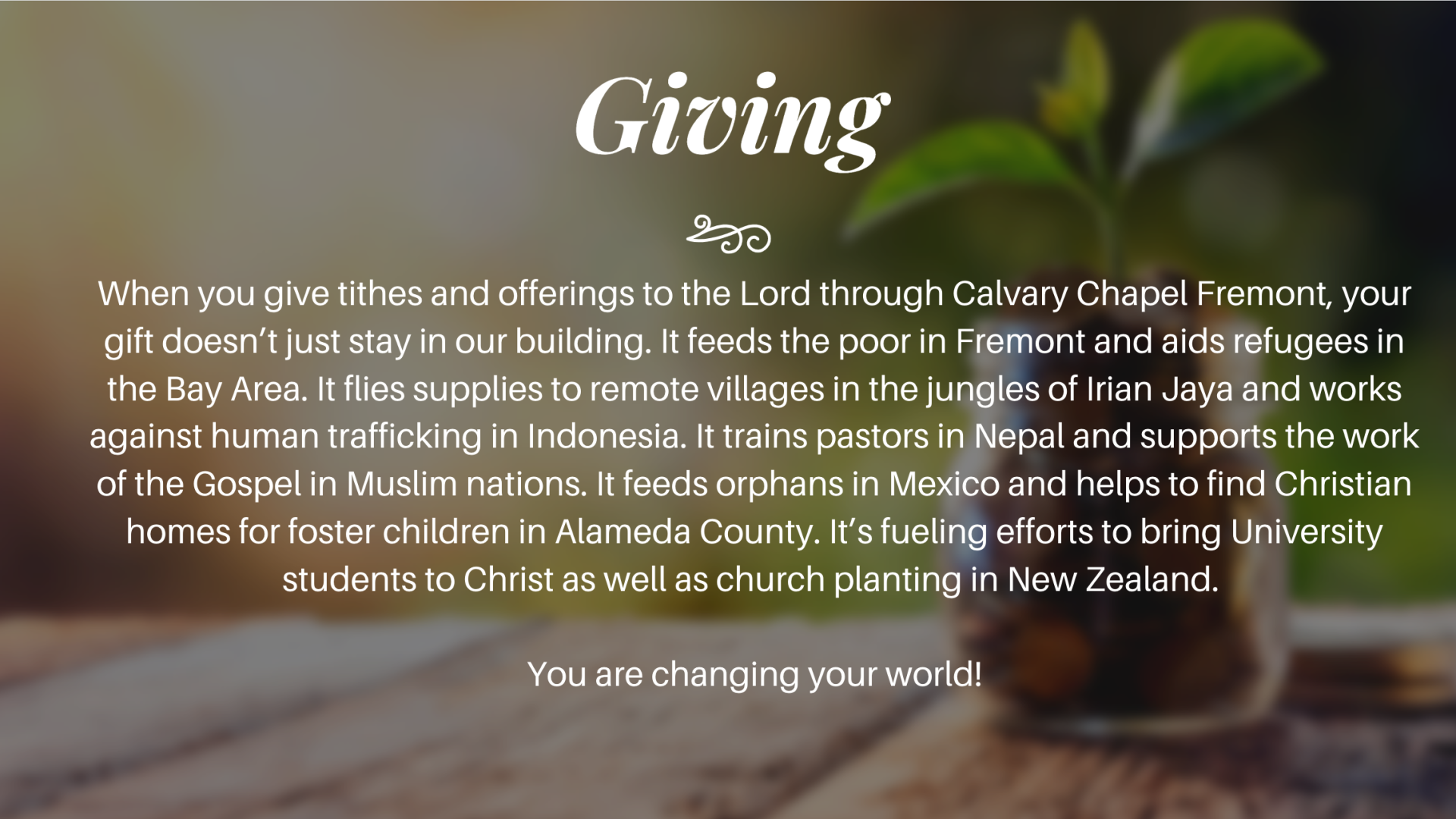 Screen Shot 2020-07-20 at 11.19.15 AM