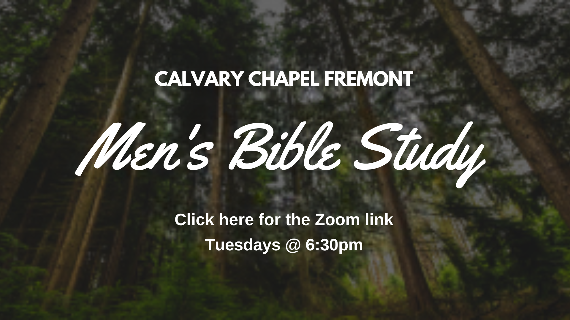 Mens Bible Study update slider